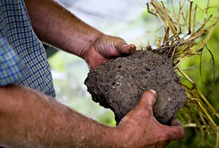 Soil health