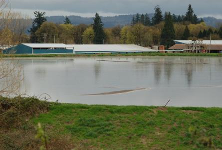 Dairy and manure lagoon 