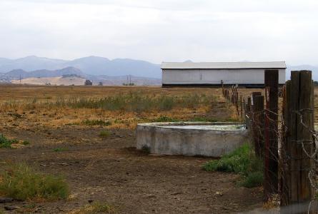 Drought damage on farm 