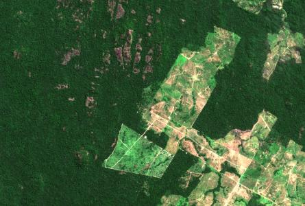 Deforestation in the Amazon