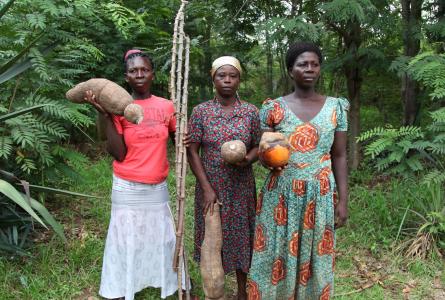 Women from the Abrono Organic Farming Project showcase their seeds