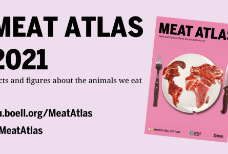 Meat Atlas 2021