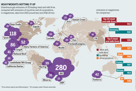 Methane from beef and dairy cattle