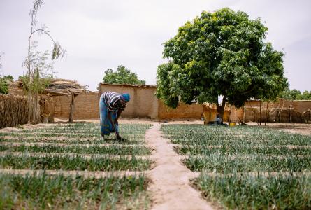 Farmer in Burkina Faso 