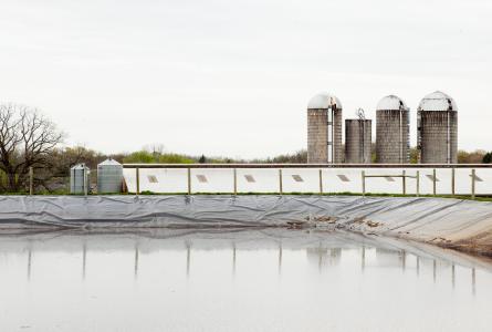 Manure Lagoon 