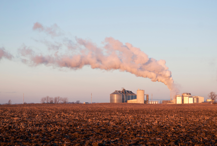 Image of an ethanol plant smokestack next to a corn field