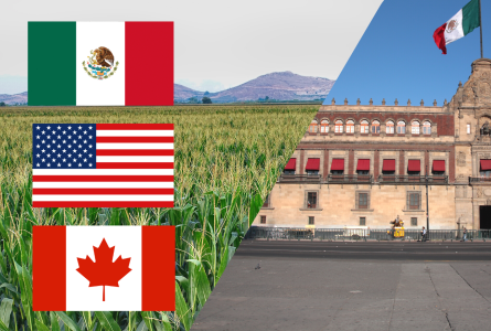 Flags of Mexico, USA, and Canada over image of cornfield and Mexican National Palace