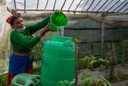 Woman watering in Nepal 