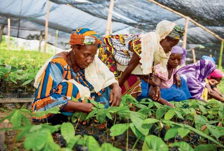 Digging Africa deeper into hunger