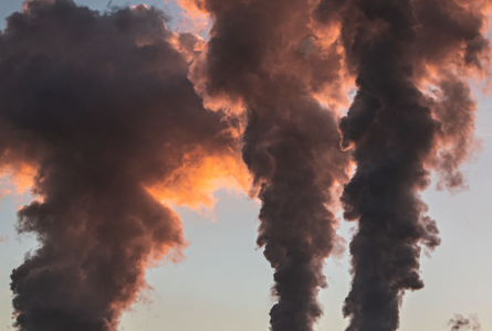 Pollution