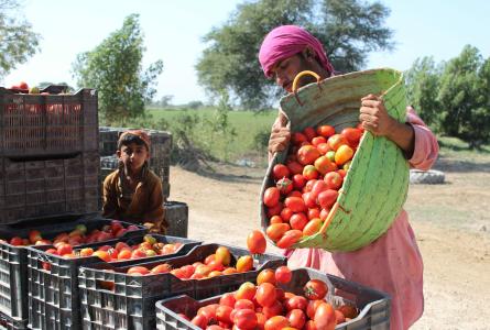 Pakistani Poverty Alleviation Fund and ITC offer finance solutions