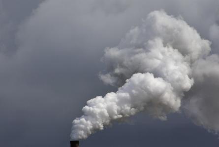 Greenhouse gasses
