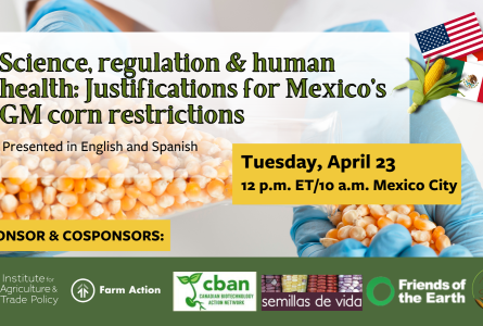 Ciencia, regulación y salud humana: Justificaciones para las restricciones al maíz transgénico en México