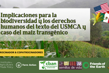 Implicaciones para la biodiversidad y los derechos humanos del texto del USMCA y caso del maíz transgénico