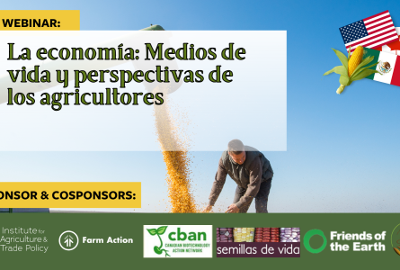 The economics webinar Spanish