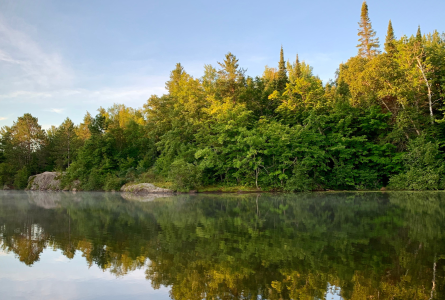 Minnesota lake and forest