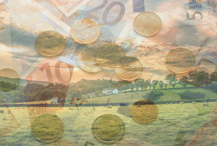 Euros overlaid on European farm