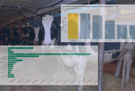 collage of graphs over cows