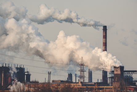 CO2 Emissions