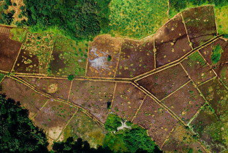 Aerial view of farmland