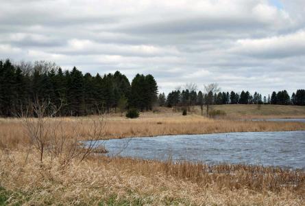 CRP land in Minnesota. Photo courtesy of USDA.