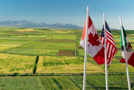 Canada, U.S. and Mexico flags over countryside landscape