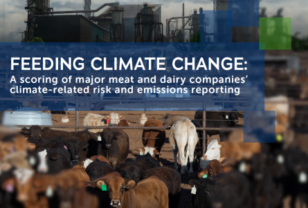 Methane scorecard cover with cattleyard