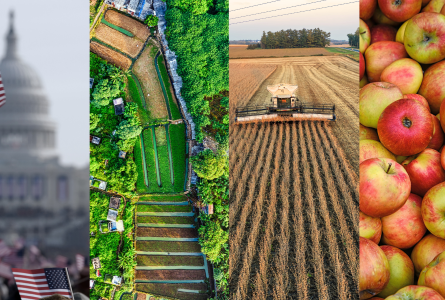 Photo collage of: U.S. capitol, aerial view of tropical farm, soybean harvest, apples