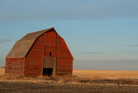 Old leaning barn