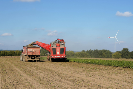 German sugar beet farm
