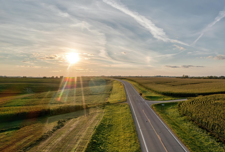 Minnesota farmland and road