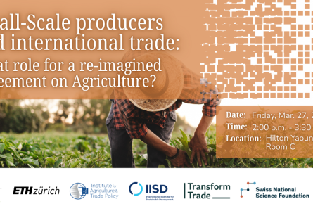 Small-Scale producers and international trade: What role for a re-imagined Agreement on Agriculture?