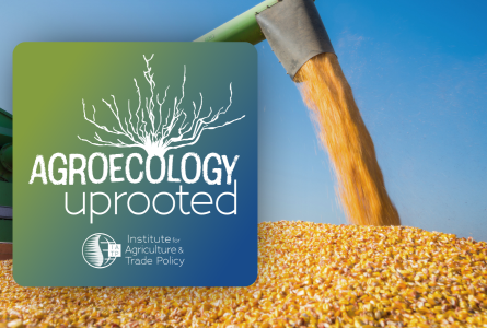 Agroecology Uprooted logo over image of large maize harvest