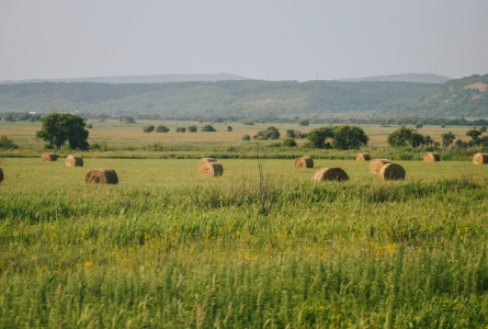 Europe farm field