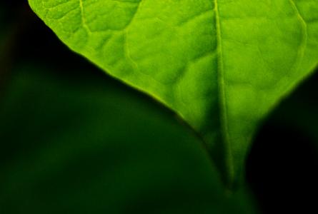 Minnesota Green Chemistry Forum Happy Hour and Seminar