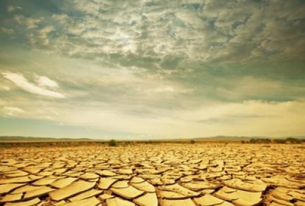 Agriculture and Climate—The Critical Connection