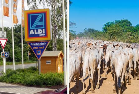 The Brazilian-German Meat Connection: Feeding from Injustice