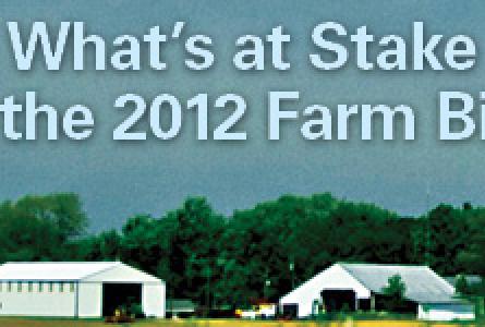 What's at Stake Image