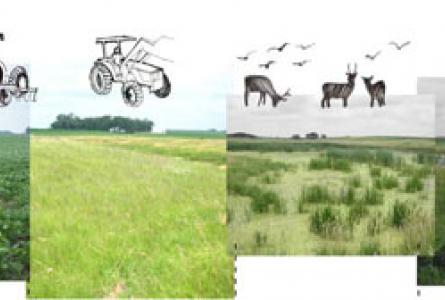 Agricultural Crossroads: Food, Fuel and the Future