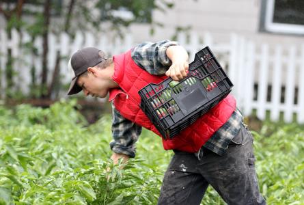 WEBINAR: Building Minnesota's Farm to Institution Markets: The Producer Perspective
