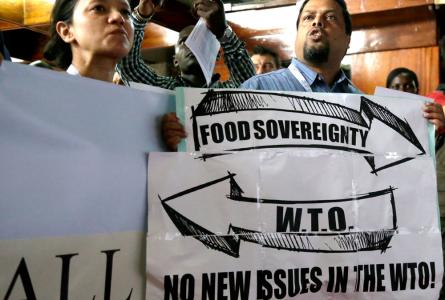 WTO: Missing in Action