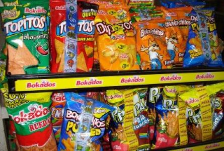 Exporting Obesity? The Link Between Trade, Diet and Health