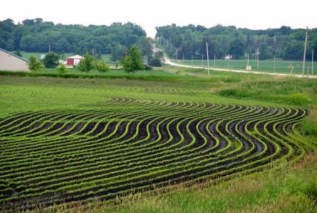 Farm Bill free fall
