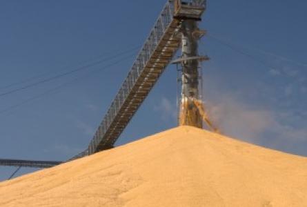 Grain Reserves in an Unstable Climate