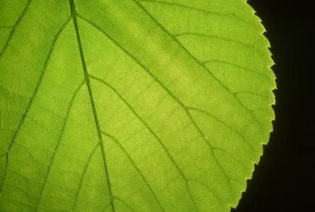 Minnesota Green Chemistry Conference 2012: Strategies for Growth
