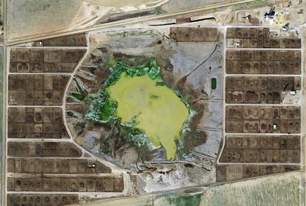 Corporate Meat's Takeover through TTIP