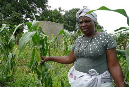 Defining our terms: Agroecology and sustainable agriculture in the context of Rio+20