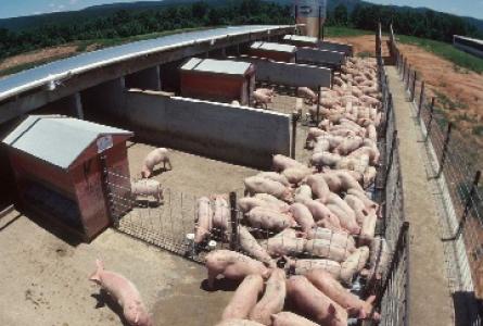Take action on Antibiotics