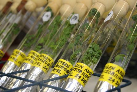 Public agricultural research needs to benefit the public