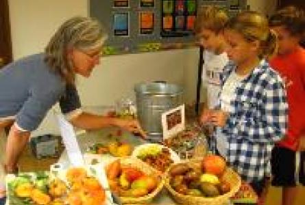 School Food Revolution?